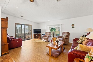 4907 Blanco Dr, Zephyrhills, FL 33541 - photo 5