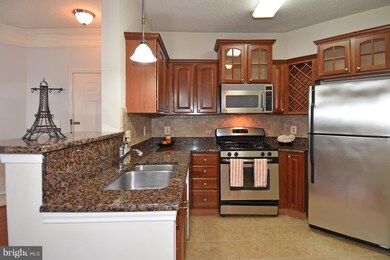 13070 Autumn Woods Way unit 204, Fairfax, VA 22033 - photo 6