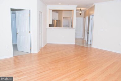 2330 14th St N unit 302, Arlington, VA 22201 - photo 7