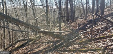 Lots 34 & 35 Aspen Way N, Basye, VA 22810 - photo 4