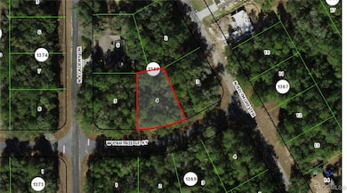 1415 W Partridge St, Citrus Springs, FL 34434 - photo 2