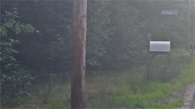 Right Side of Property from Alfred Rd