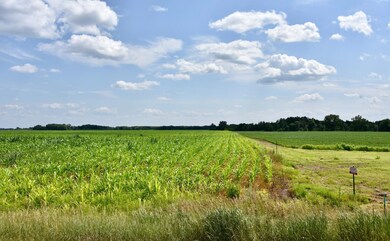 View looking south up the west line of Parcel A. Bean field on right of frame is neighboring property.