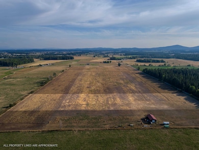 Lot 2 Grove Rd, Deer Park, WA 99006 - photo 4