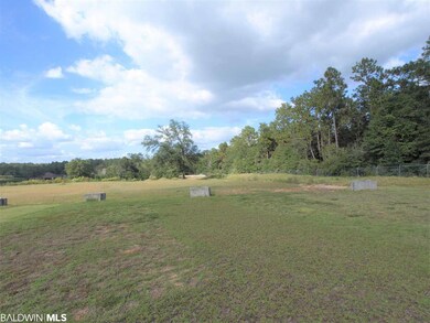 0 Crepemyrtle Ct unit 261101, Mobile, AL 36693 - photo 6