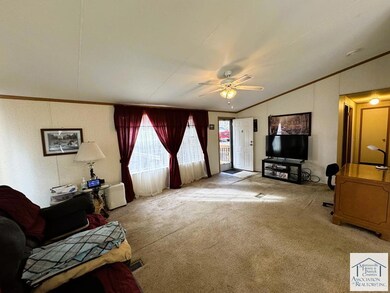 119 Trout Run Dr, Woolwine, VA 24185 - photo 7