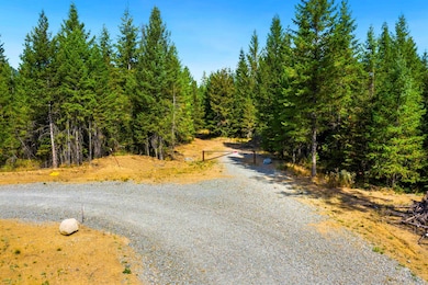 701 Happy Trails Ln, Newport, WA 99156 - photo 6