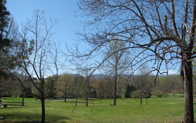 Additional View