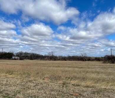 000 Laurie Ln, Springtown, TX 76082 - photo 4