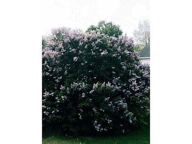 150 N Main St, Pascoag, RI 02859 - photo 6