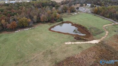13.9 Acres County Road 429, Fyffe, AL 35971 - photo 6