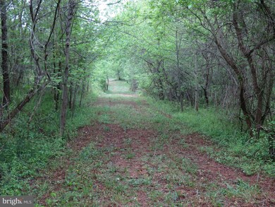 0 Lee Hwy unit 1000162279, Sperryville, VA 22740 - photo 5