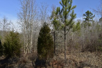 3 Millstone Creek Rd, Elberton, GA 30635 - photo 3