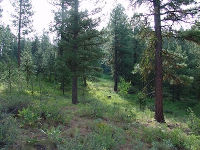 Nice Mixture of Trees & Meadows
