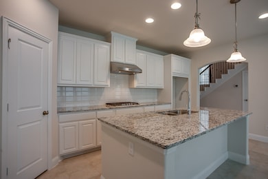 3412 Damsel Sauvage Ln, Lewisville, TX 75056 - photo 6