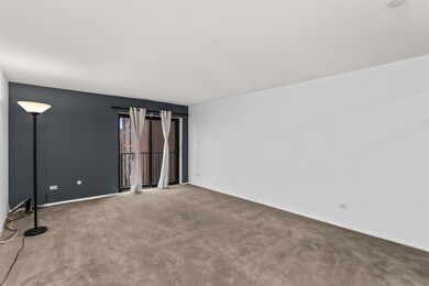 960 S River Rd unit 410, Des Plaines, IL 60016 - photo 4