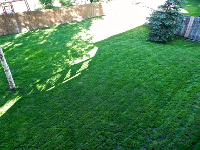Back yard
