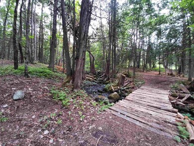 16 Lime Pond Rd, Columbia, NH 03576 - photo 3