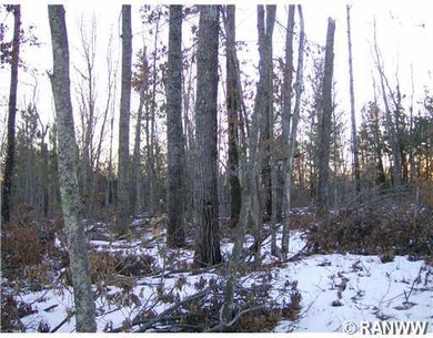 44 Lot Deerpath Trail, Jackson, WI 54830 - photo 3