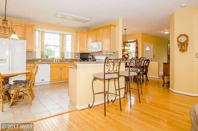 43459 Quigley Ln, Chantilly, VA 20152 - photo 6