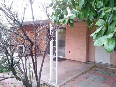Phoenix-20141114-23535