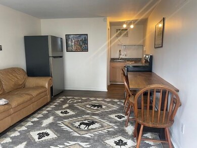 76 Lake Shore Dr unit 3, Moultonborough, NH 03254 - photo 7