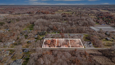 Lots 1-3 S Sherman St, Sheridan, MI 48884 - photo 2