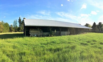 7932 Miller Dr, South Branch, MI 48761 - photo 6