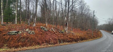 0 Thompsonville Rd, Thompson, NY 12701 - photo 5