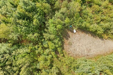 00 Morel Rd, Lancaster, NH 03584 - photo 6