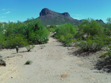 View of Panther Peak