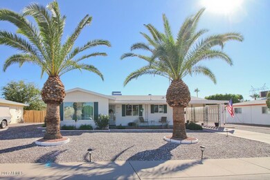 Well maintained palm trees
