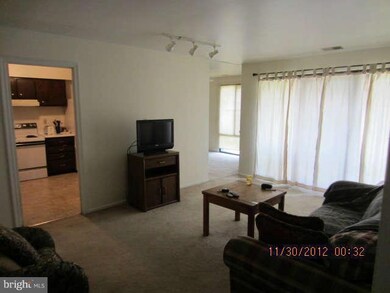 1030 Brinker Dr unit 301, Hagerstown, MD 21740 - photo 7