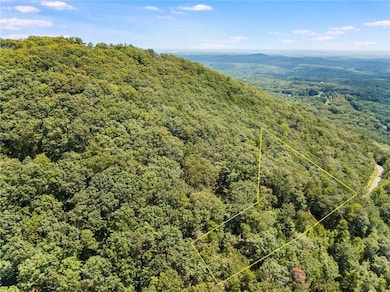 8267 Cox Mountain Ln, Jasper, GA 30143 - photo 2