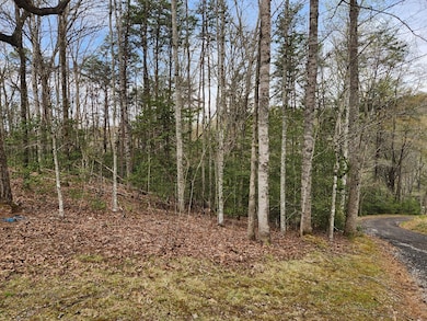 Nice woods