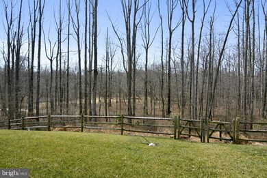 12627 Blue Sky Dr, Clarksburg, MD 20871 - photo 3