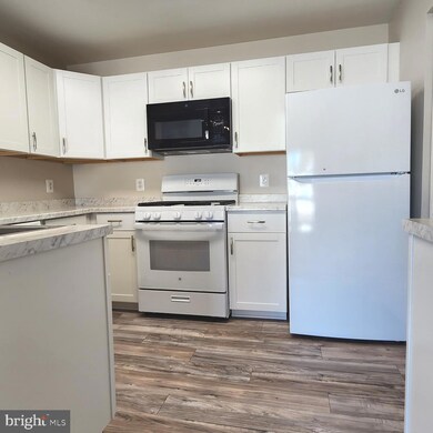 45061 Brae Terrace unit 203, Ashburn, VA 20147 - photo 3