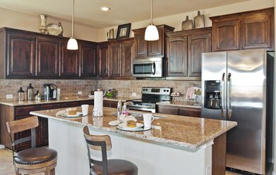 513 Smart Strike Trail, Granbury, TX 76049 - photo 3