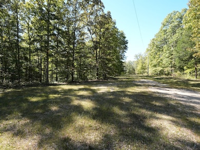 0 Snowgoose Ct unit RTC3042009, Hurricane Mills, TN 37078 - photo 5