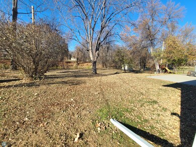 Side/back yard view