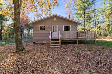 6483 S Emma Ave, Baldwin, MI 49304 - photo 3