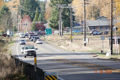 8416 State Route 702 S, Roy, WA 98580 - photo 3