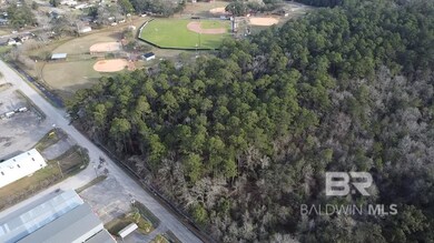 0 Baldwin Rd unit 2 374664, Satsuma, AL 36572 - photo 6