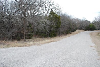 14067 Sandy Oaks Dr, Whitney, TX 76692 - photo 2
