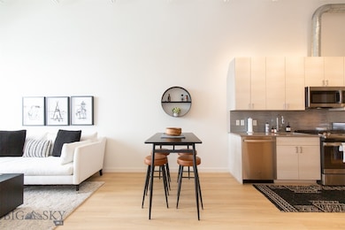 515 W Aspen St unit 317, Bozeman, MT 59715 - photo 4