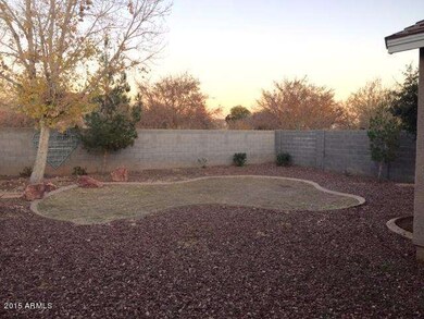 backyard 3