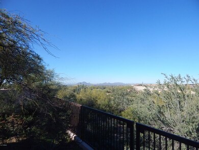 BACK YARD VIEW