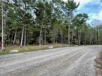 Lot G Blue Ridge Acres, Bristol, ME 04539 - photo 3