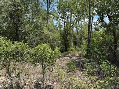 00 SW Rainbow Lakes Blvd, Dunnellon, FL 34431 - photo 4