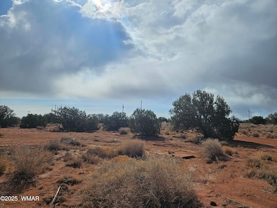20250404_090819